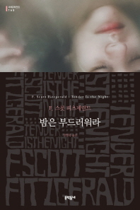 밤은 부드러워라 (세계문학전집 165)